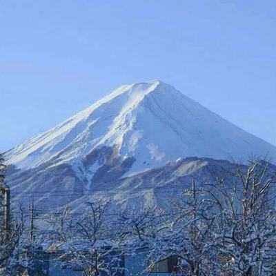 碰碰佣兵手游九游版下载